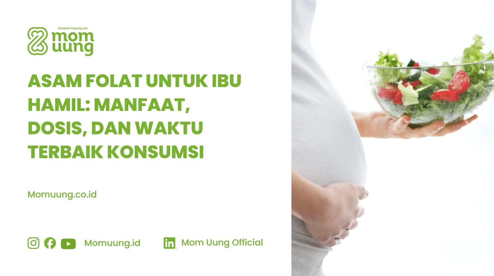Manfaat Asam Folat Untuk Ibu Hamil