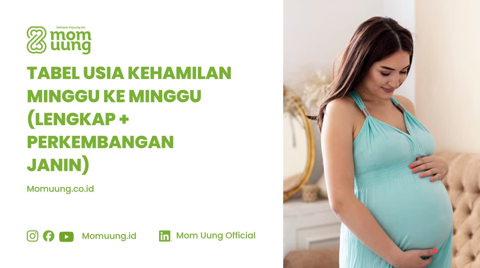 Usia Kehamilan Minggu Ke Minggu