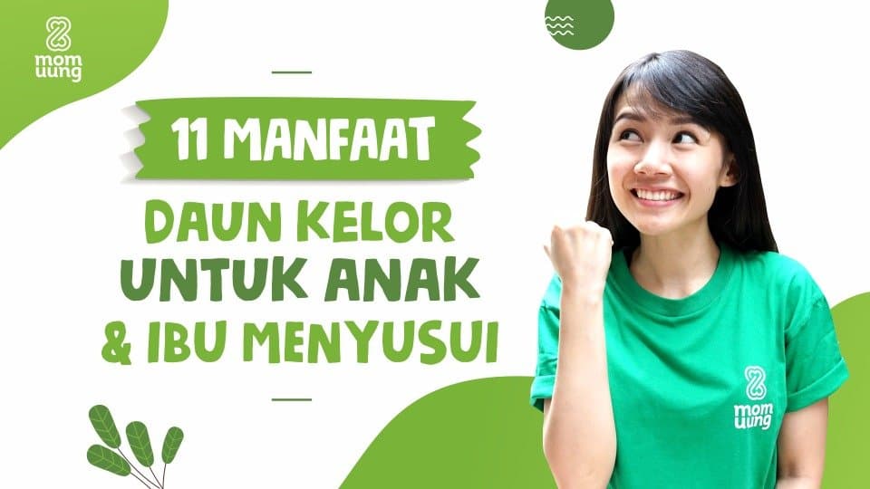 11 Manfaat Daun Kelor Asi Booster Mom Uung Untuk Anak Dan Ibu Menyusui