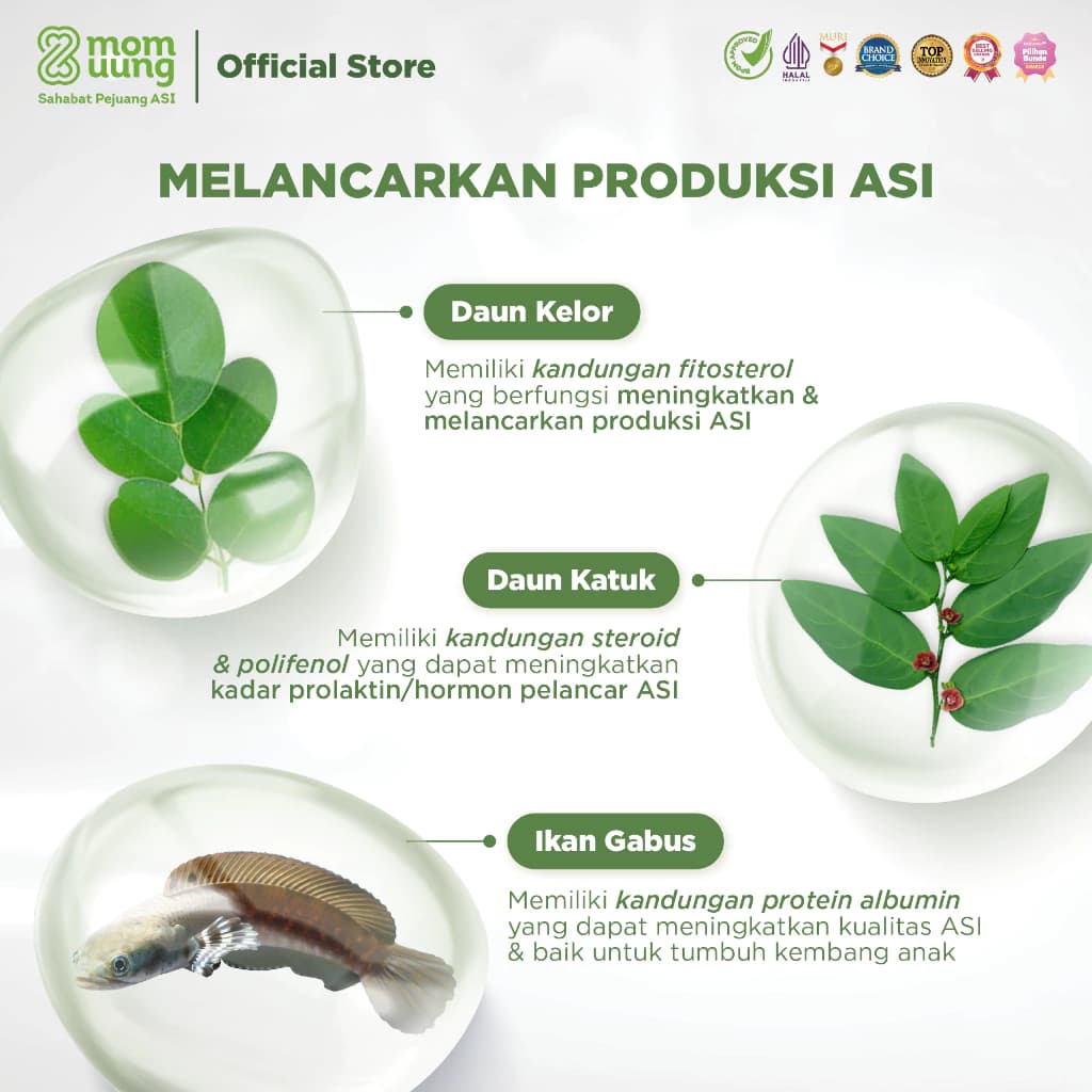ASI Booster Mom Uung 6